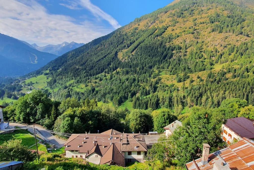 Residenza Sofia - Ponte Di Legno Fraz. Pezzo别墅 外观 照片
